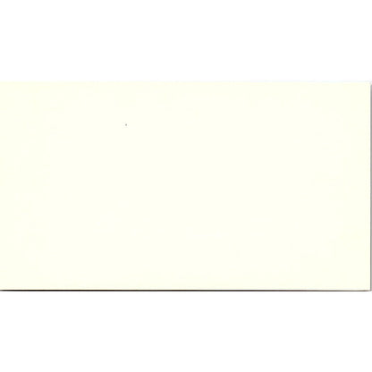 Deborah Steen AAA Auto Counselor Houston Vintage Business Card SE3-B15