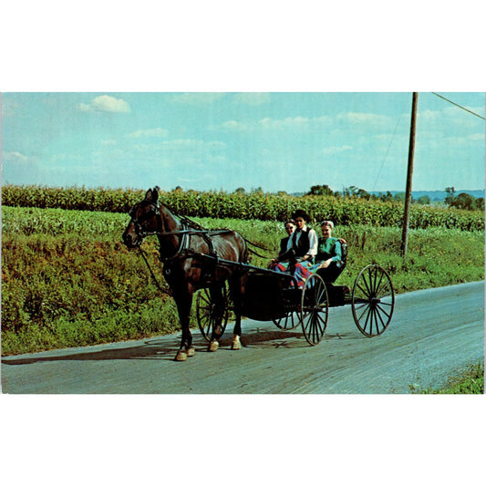 Young Amish People on a Buggy Ride Pennsylvania Dutch Country Postcard PD8