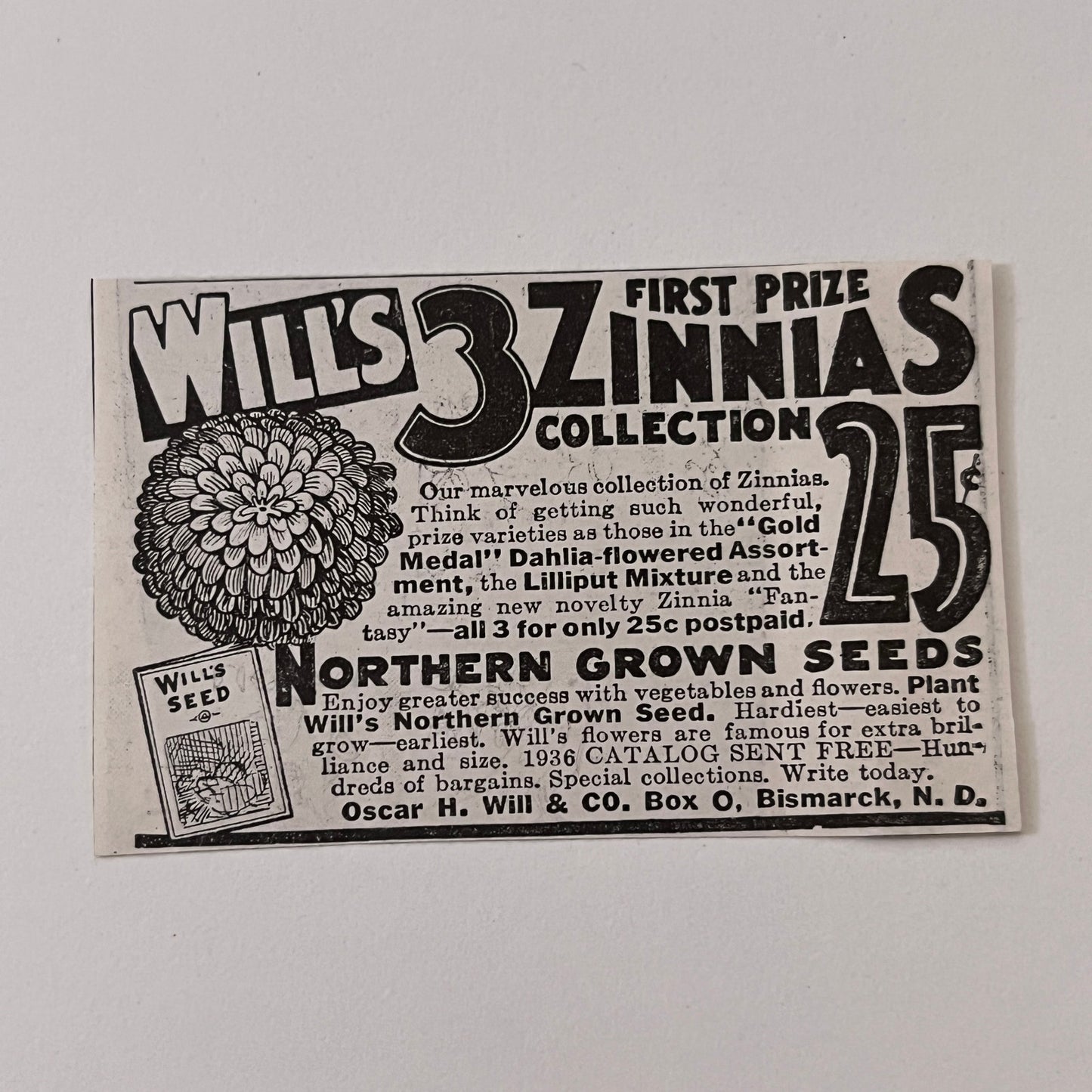 Oscar H. Will & Co. Will's 3 Zinnias Collection Bismarck ND 1936 Ad SAG4-M4