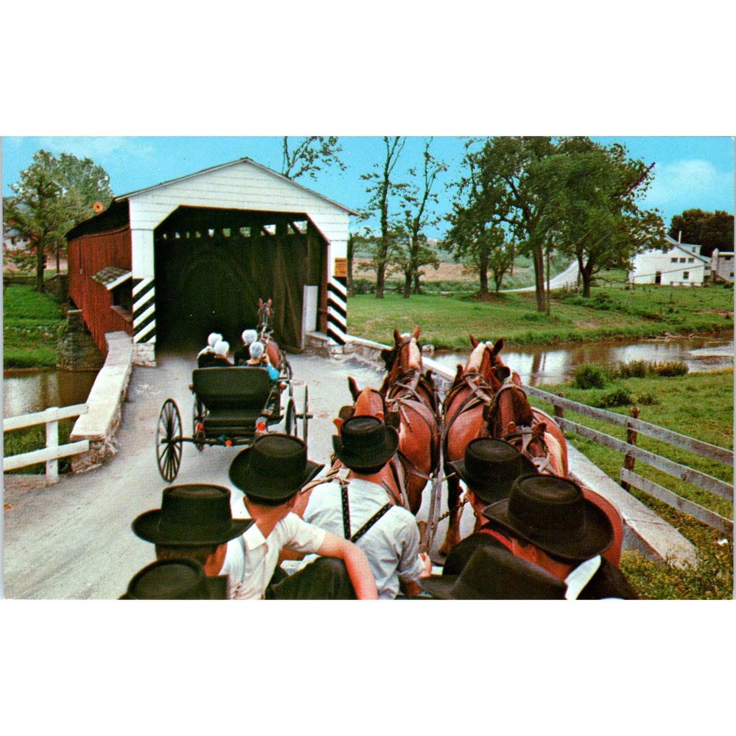 Amish Wagon With Four Belgian Horses Pennsylvania Dutch Country Postcard PD7