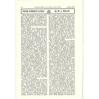 From Foreign Lands by W.J. Nolan 5 Page Beekeeping Article 1926 AG3-9