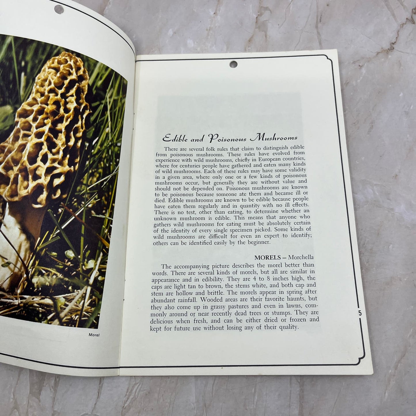 1973 Edible Wild Mushrooms Magazine University of Minnesota Bulletin TD5