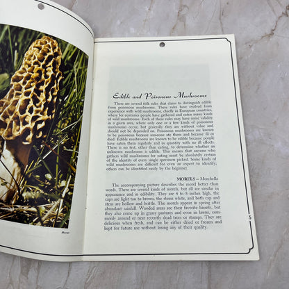 1973 Edible Wild Mushrooms Magazine University of Minnesota Bulletin TD5