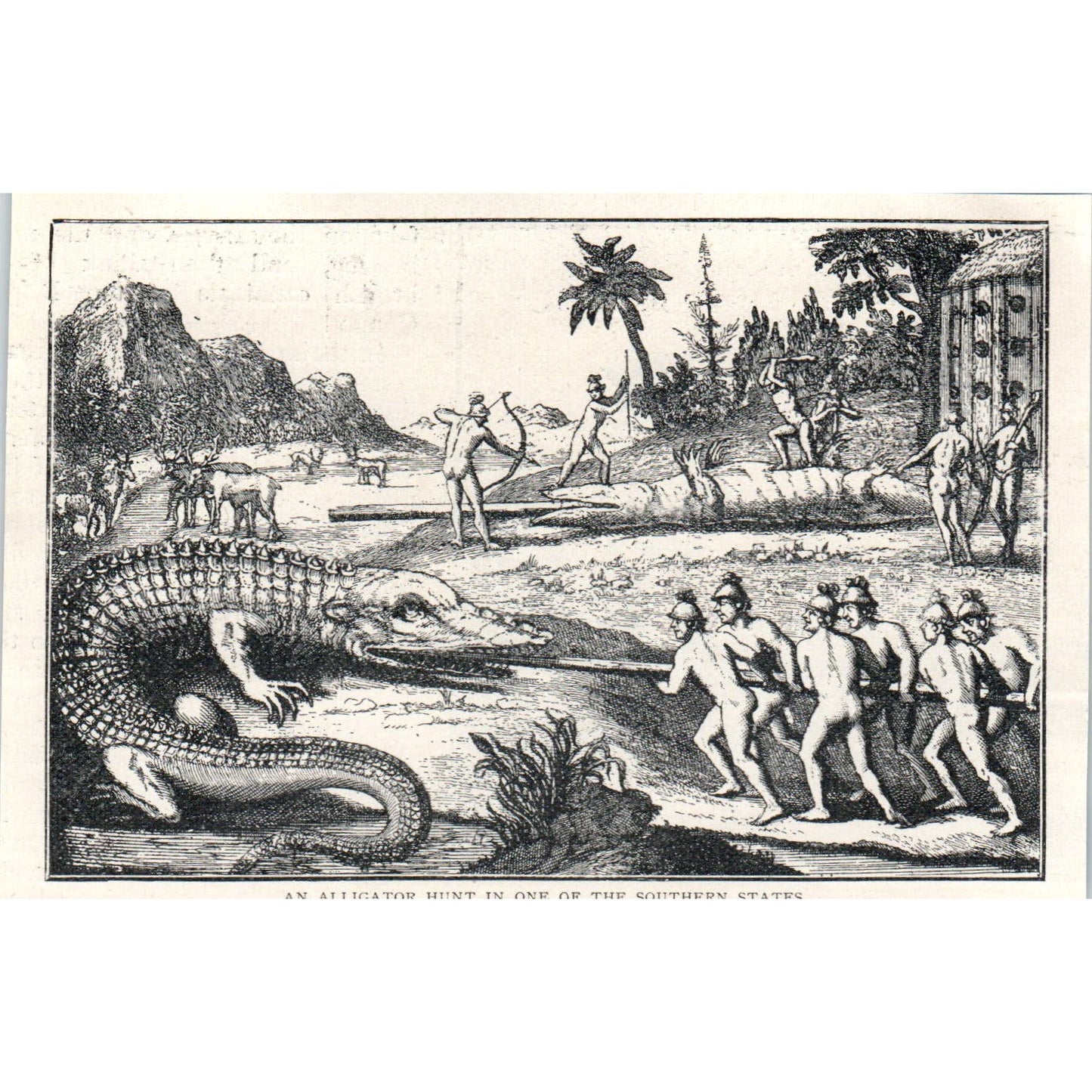 An Alligator Hunt in One of the Southern States 1897 Illustration AE9-TS7