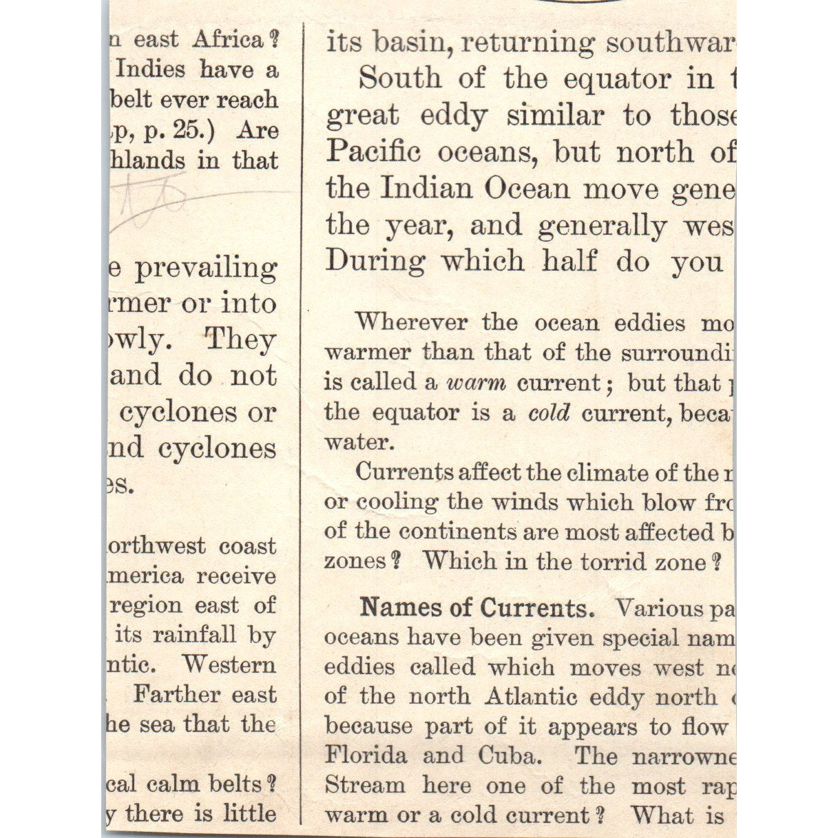 Dense Equatorial Forest 1901 Engraving AF2-P1