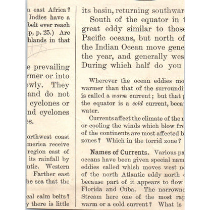 Dense Equatorial Forest 1901 Engraving AF2-P1