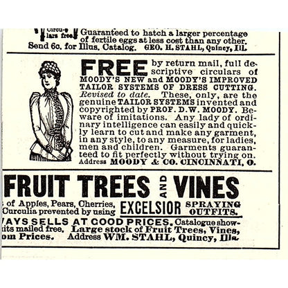 Imperial Wheels Bicycle Ames & Frost Company Chicago 1892 Ad AG2-M19