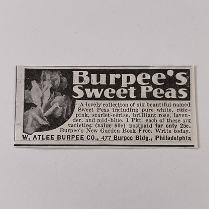 W. Atlee Burpee Co. Burpee's Sweet Peas Philadelphia PA 1936 Ad SAG4-M4