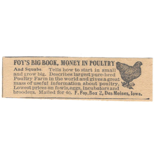 Foy's Big Book Money in Poultry Des Moines IA 1910 Magazine Ad AF1-SS8