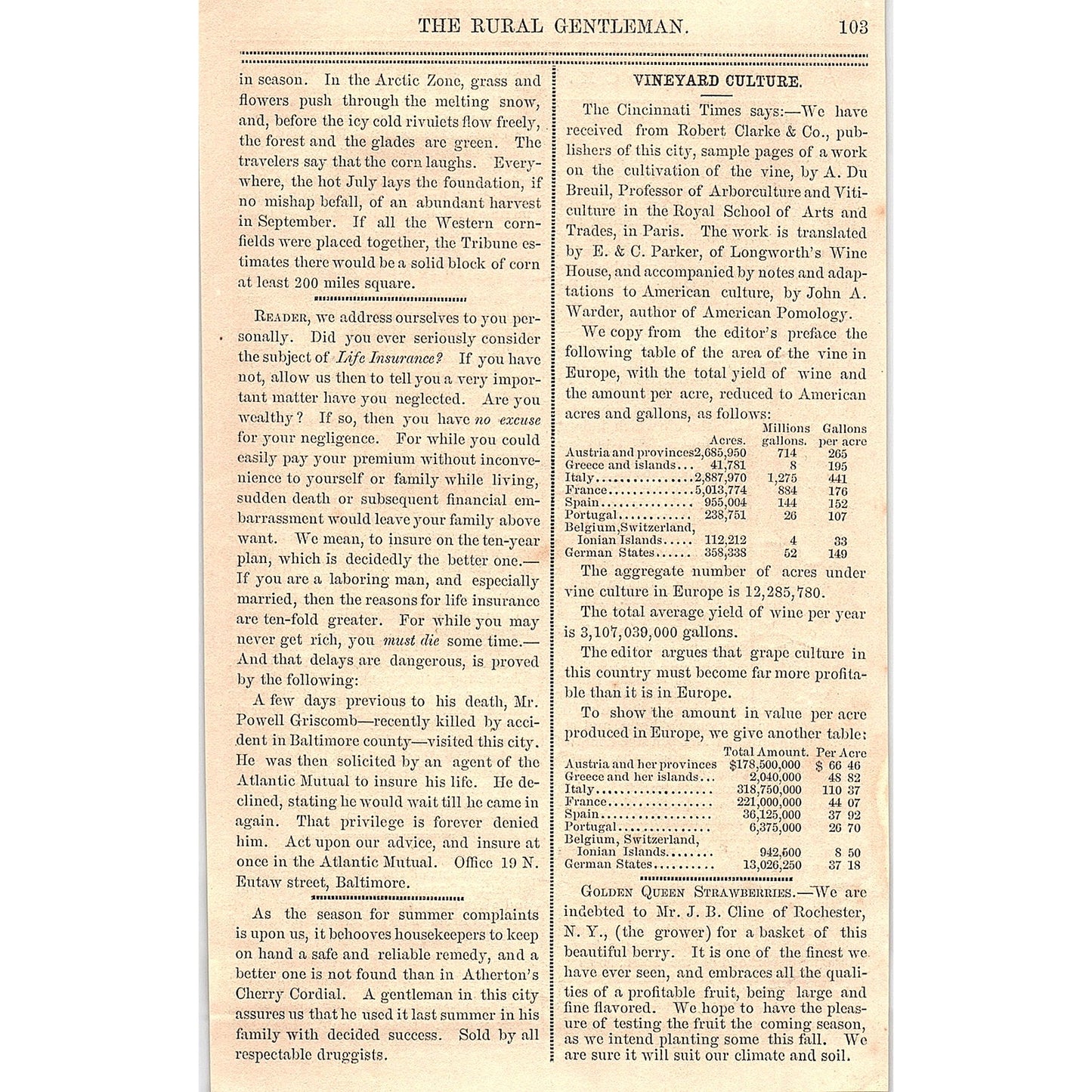 A Short Sermon on Horses - Lower Canada Agriculturist 1867 Article AG9-5