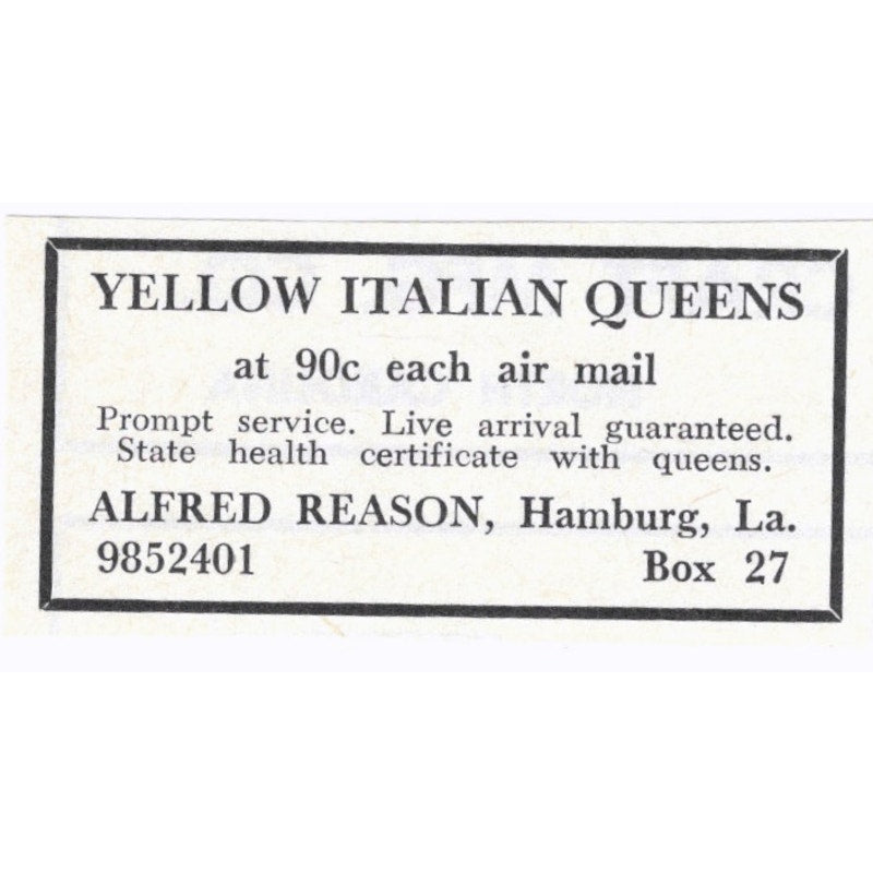 Alfred Reason Yellow Italian Queen Bees Hamburg LA 1964 Magazine Ad AB6-S15