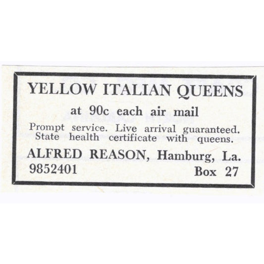 Alfred Reason Yellow Italian Queen Bees Hamburg LA 1964 Magazine Ad AK6-S15