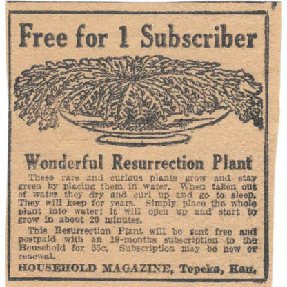 Fern Plant Giveaway Household Magazine Topeka KS 1923 Magazine Ad Clip AE1-7