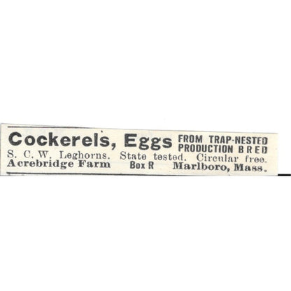 Acrebridge Farm Cockerels Eggs Marlboro MA 1924 Ad AG3-S9