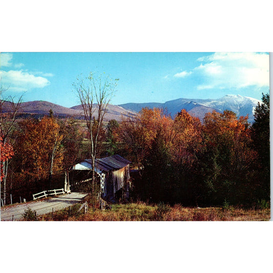 Old Covered Bridge Lamoille County Mt. Mansfield Vintage Bridge Postcard PD1