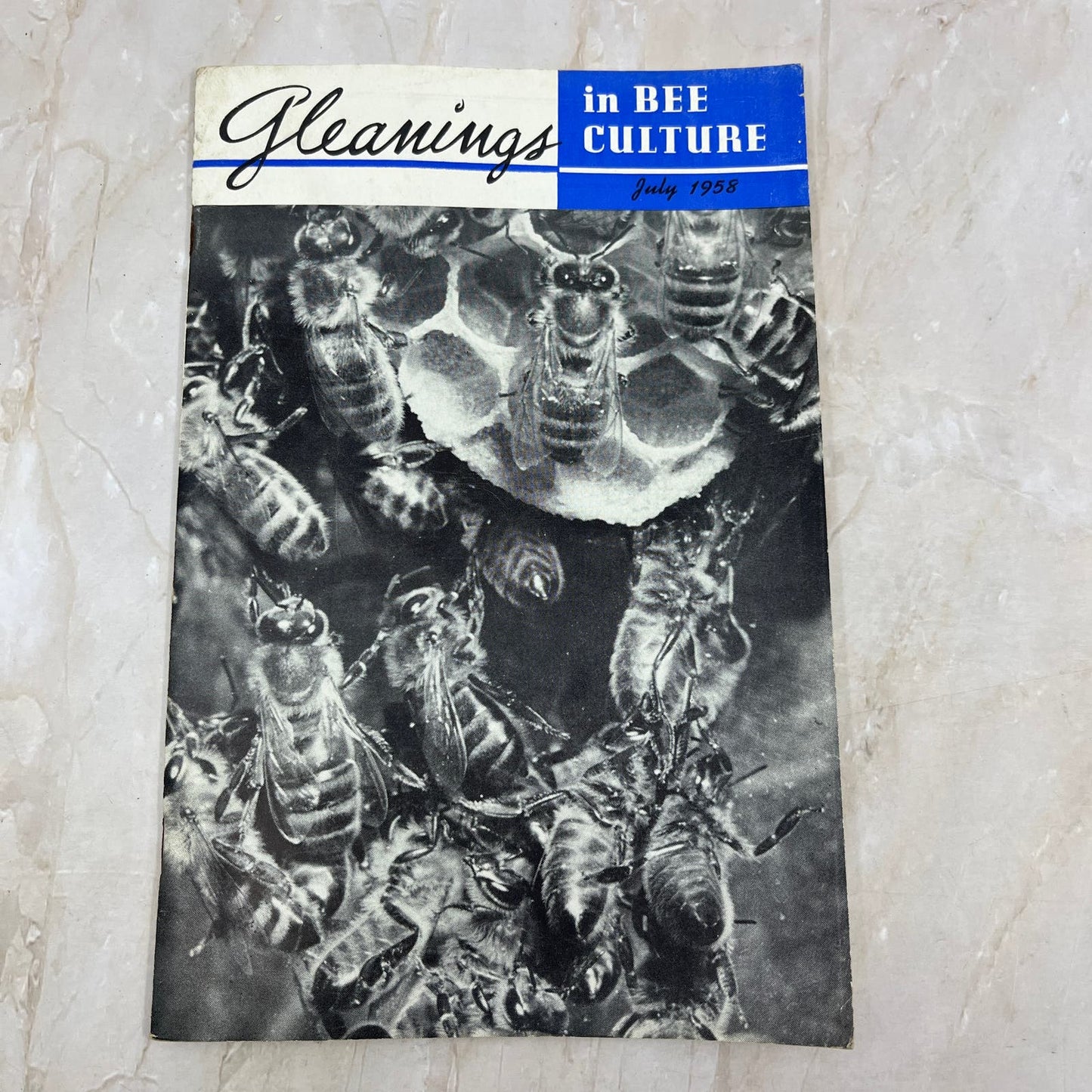 1958 Jul Gleanings in Bee Culture Beekeeping Magazine A.I. Root Co Medina OH TD5