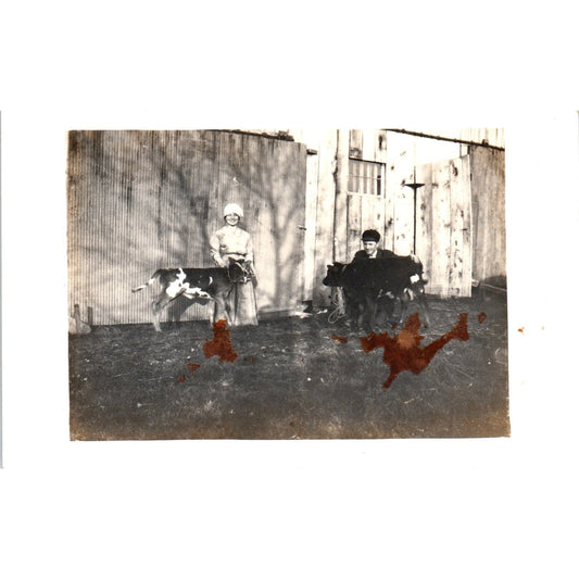 Man and Woman Outside Barn With Cows Antique RPPC Postcard PE7