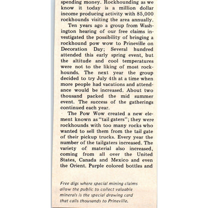 Gems Limited Amethyst Crystal Specimens Jacksonville FL 1971 Magazine Ad AD8-R9