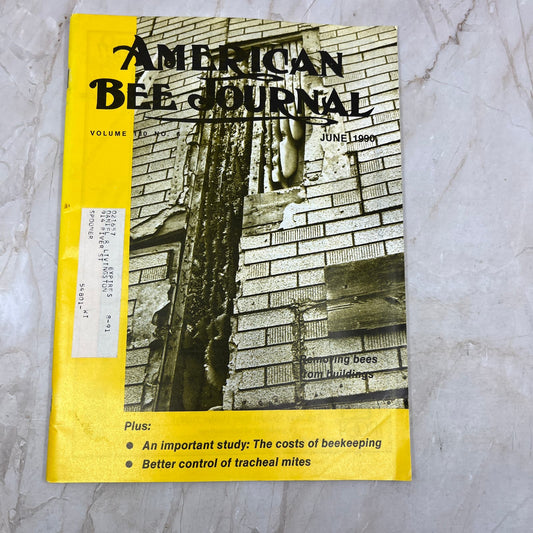 1990 June - American Bee Journal Magazine - Bees Beekeeping Honey M9