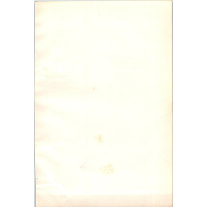 Shore Lark Bird 1903 Original Color Engraving Plate Print AD8-B1