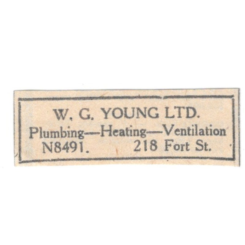 W.G. Young Ltd Plumbing & Heating 218 Fort Street Winnipeg 1920 Ad AG2-S4