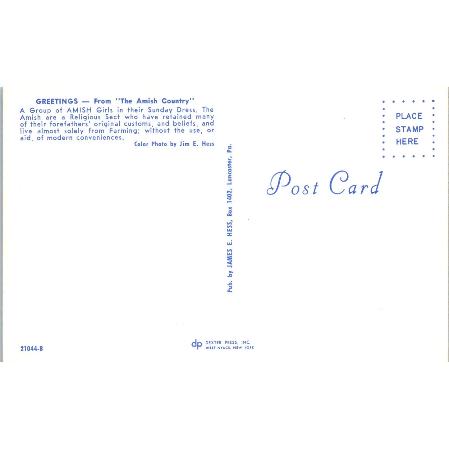 Amish Girls in Sunday Dress Pennsylvania Dutch Country Vintage Postcard PD5