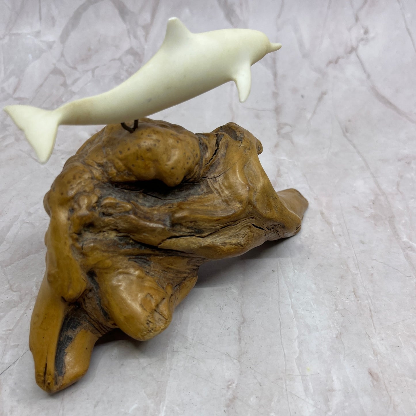 Vintage John Perry Studio Dolphin Burl Wood Art Sculpture Ocean 5x7" TF4
