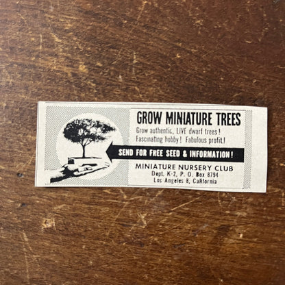 Grow Miniature Trees - Miniature Nursery Club Los Angeles CA 1955 Ad AF9-S9