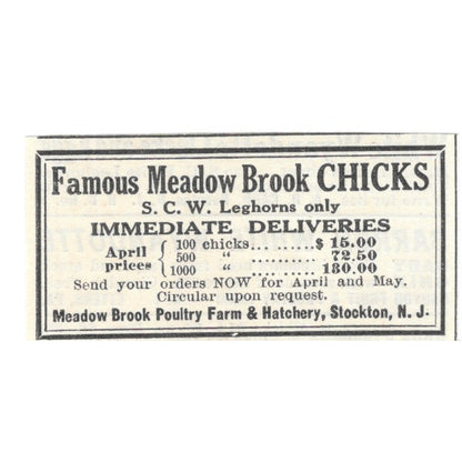 Meadow Brook Poultry Farm & Hatchery Stockton NJ 1924 Ad AG3-S2
