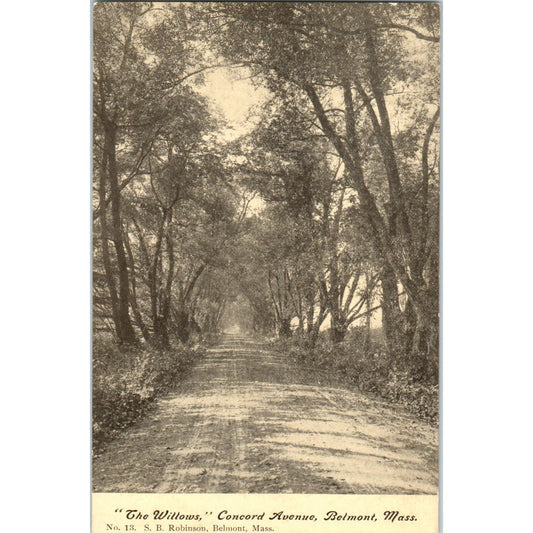 The Willows Concord Avenue Belmont MA S.B. Robinson Vintage Postcard PC7