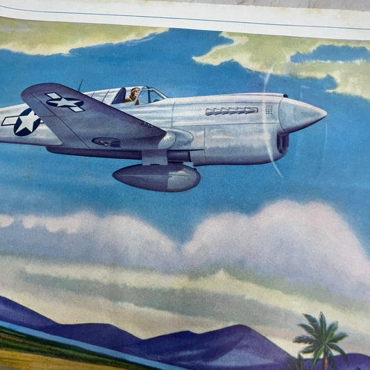 Allison Powered P-10 Warhawk Vintage Print 10.5x13 FL6-4