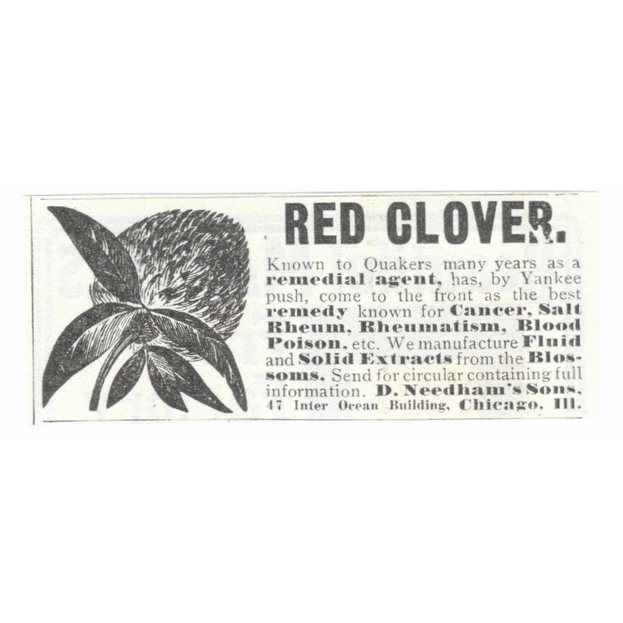 D. Needham's Sons Red Clover Chicago c1905 Original Advertisement AE7-SA1