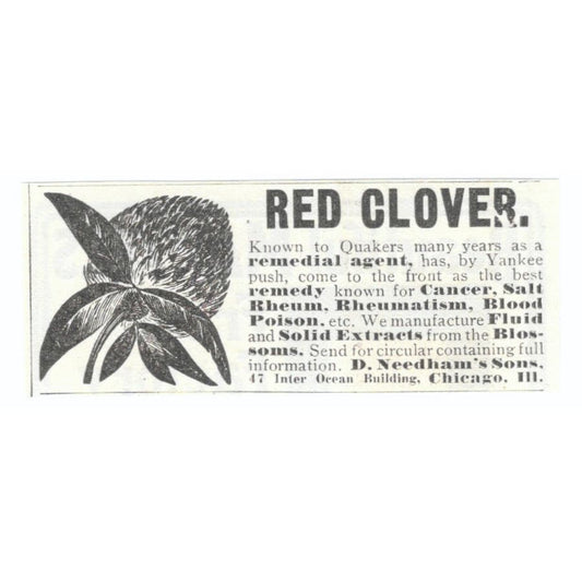 D. Needham's Sons Red Clover Chicago c1905 Original Advertisement AE7-SA1