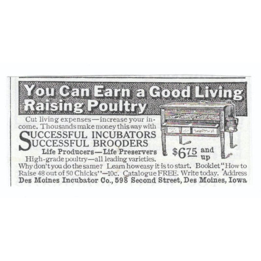 Des Moines Incubator Co Iowa Money Raising Poultry 1913 Magazine Advert AE7-N8