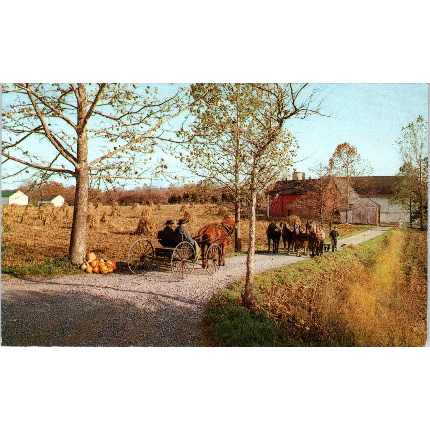Amish Horse and Buggy Country Pennsylvania Dutch Country Postcard PD7