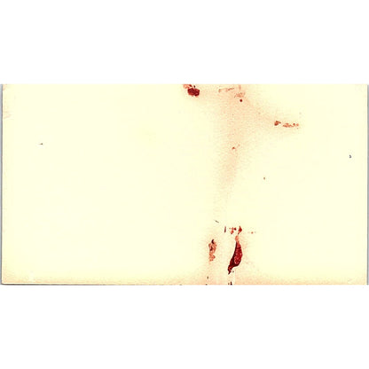 Kirk J. Segura Continental Water Conditioning Co of Houston Business Card SE5-B1