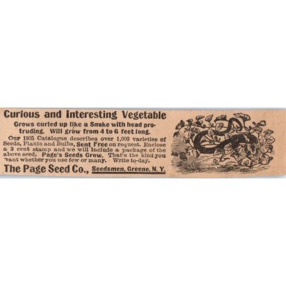 The Page Seed Co Seedsmen Greene NY 1905 Magazine Ad AF1-NH3