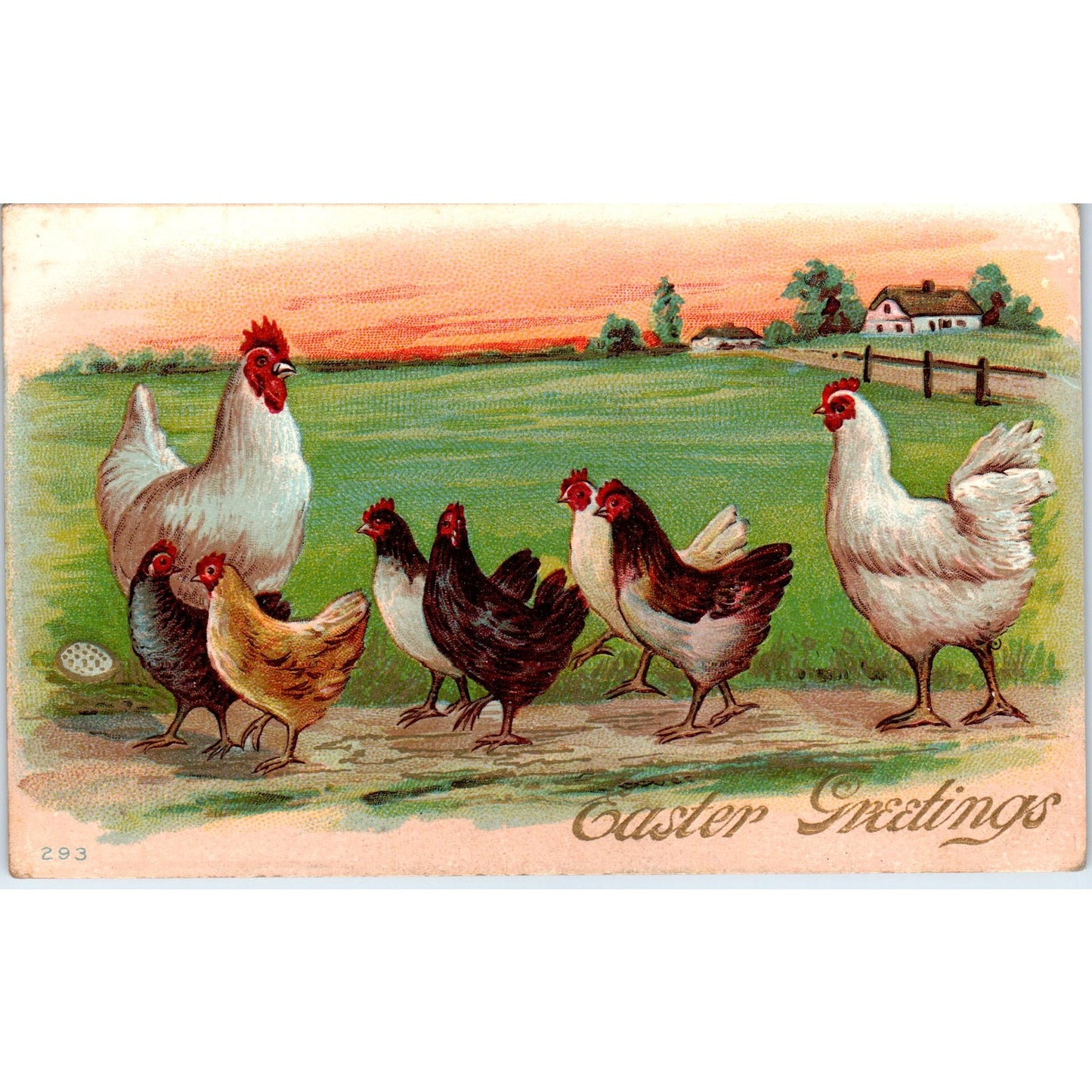 c1910 Edwardian Easter Greetings Chickens Hens Roosters Postcard PE1