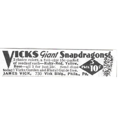 Vicks Giant Snapdragons James Vick Philadelphia PA 1936 Ad SAG4-S12
