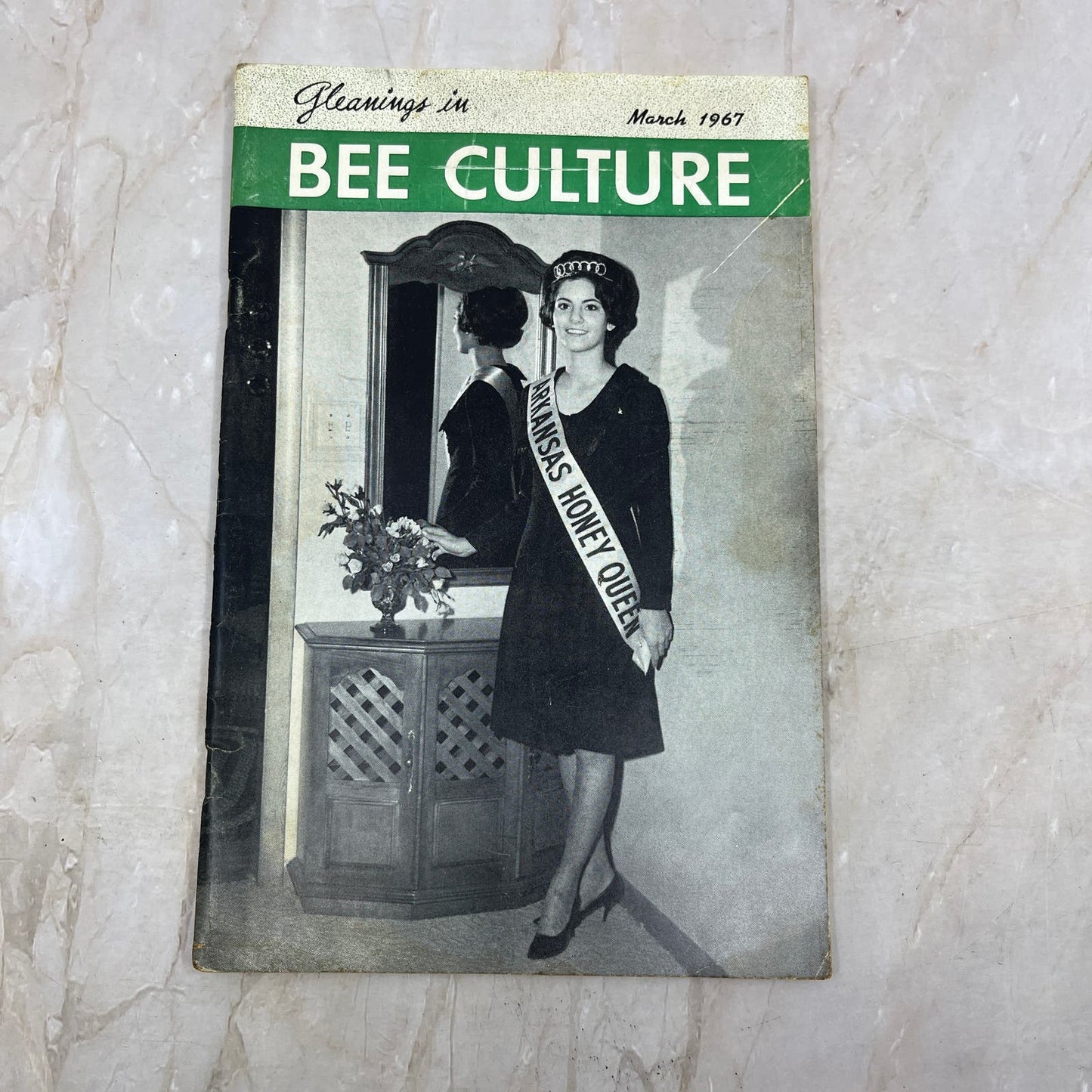 1967 March Gleanings in Bee Culture Magazine Bees Beekeeping Honey TD7