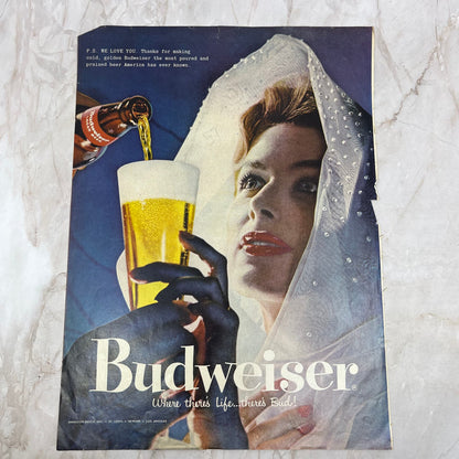 Budweiser Anheuser-Busch 10x13 Magazine Advertisement FL6-7