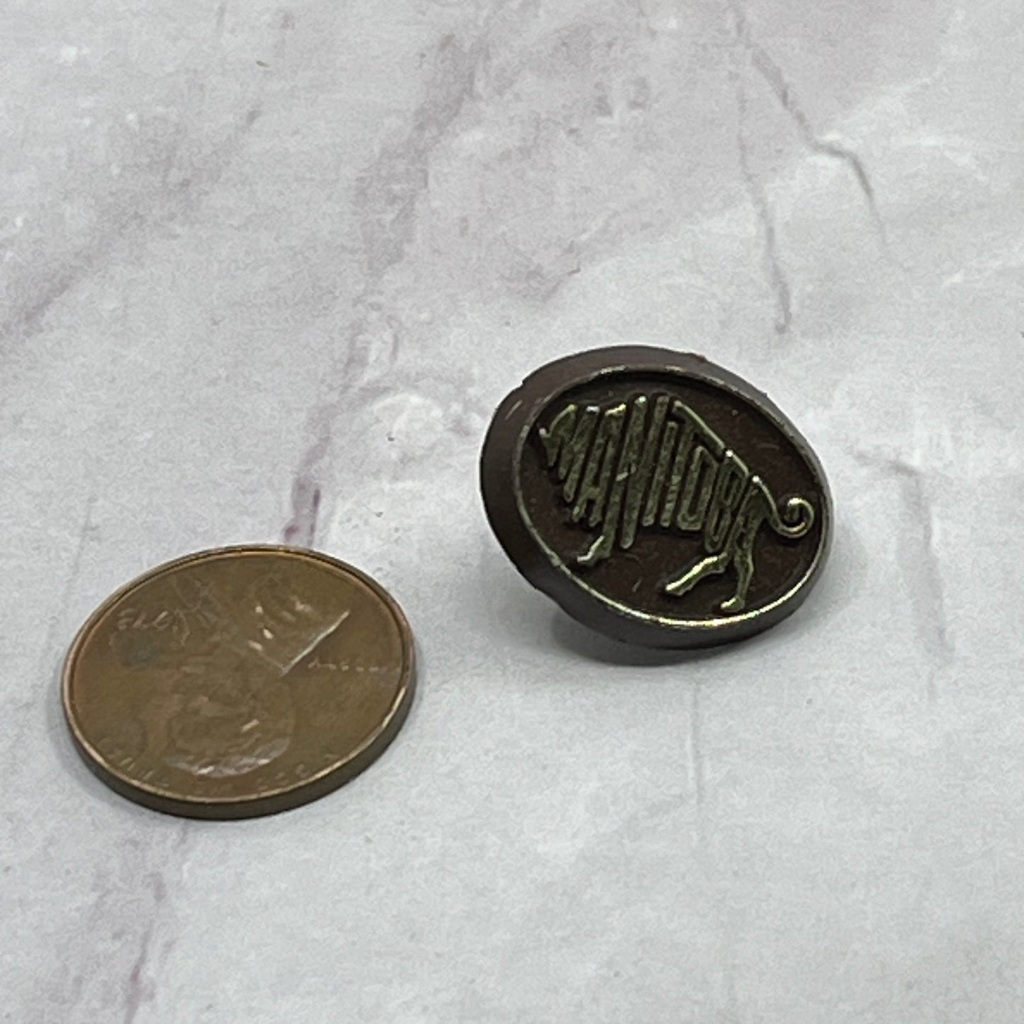 Vintage Brown Plastic With Gold Trim Manitoba Buffalo Pinback Button SB7