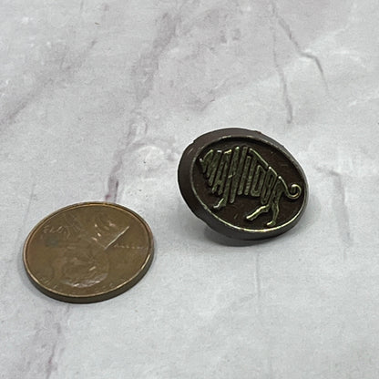 Vintage Brown Plastic With Gold Trim Manitoba Buffalo Pinback Button SB7