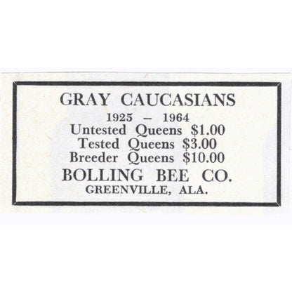 Gray Caucasians Bolling Bee Co Greenville AL 1964 Magazine Ad AB6-S15