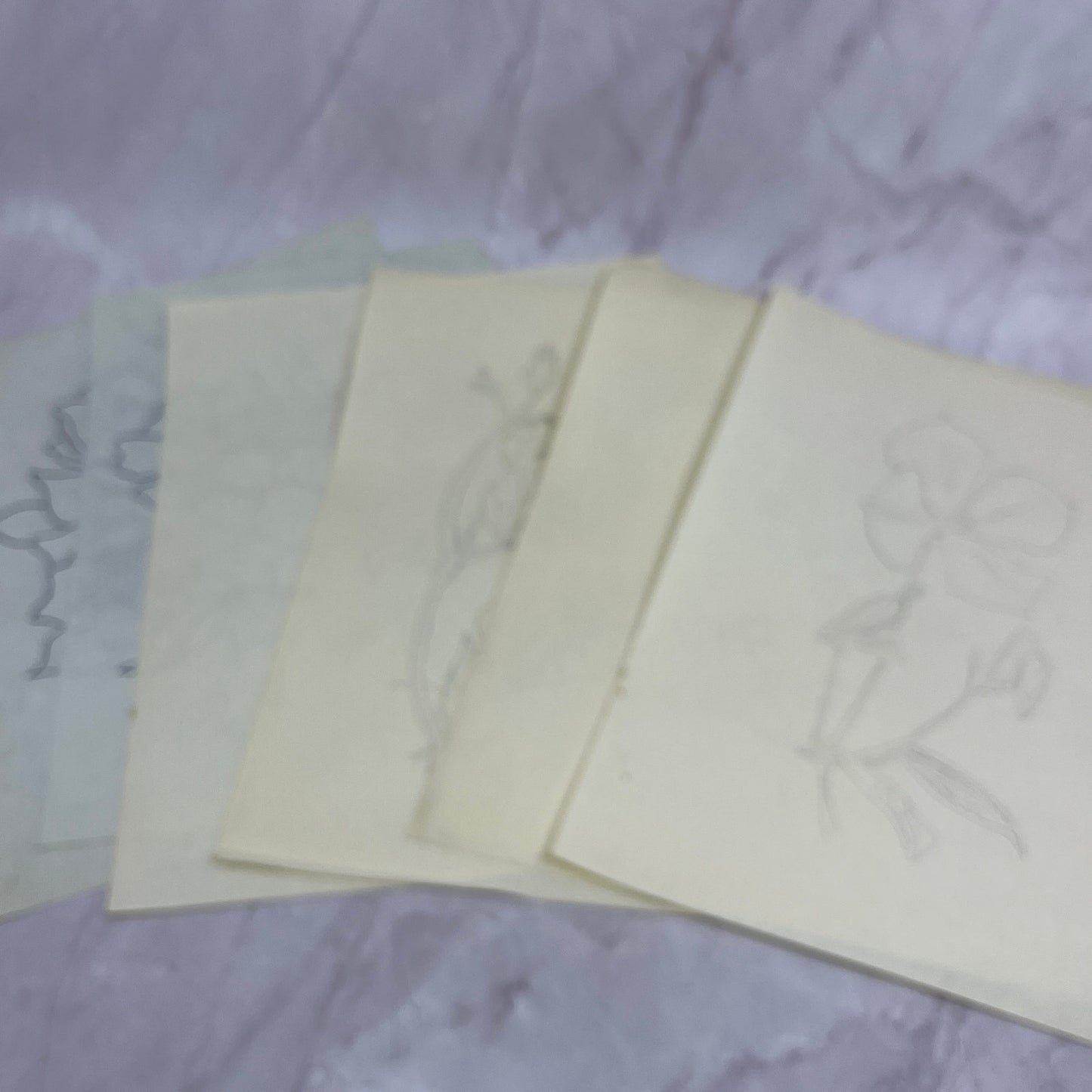 1940s Lot Flower Floral Sketches & Studies Winifred Schutsky Pratt Institute TC5