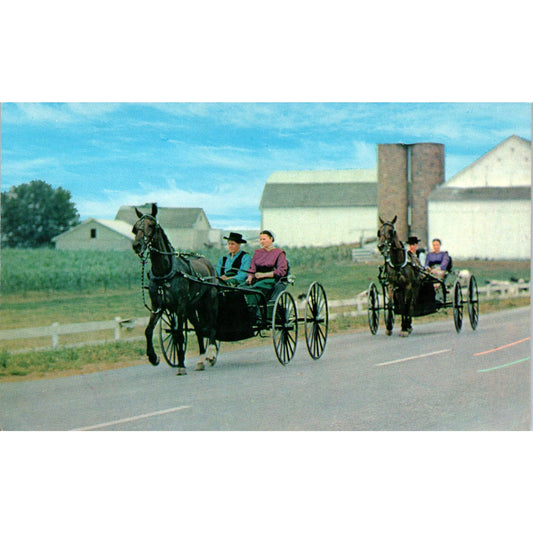 Two Amish Courting Buggies Pennsylvania Dutch Country Postcard PD7