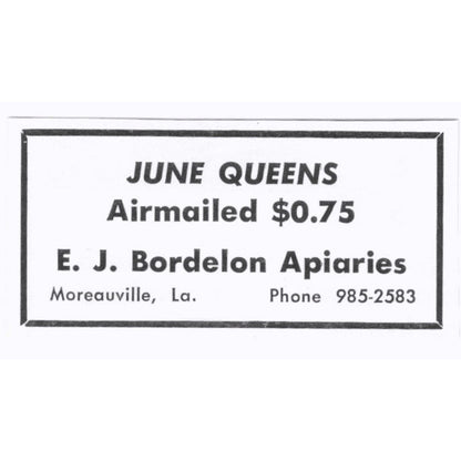 E.J. Bordelon Apiaries June Queen Bees Moreauville LA 1964 Magazine Ad AB6-S15