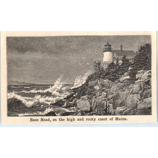 Bass Head Coast of Maine 1901 Engraving AF2-O2