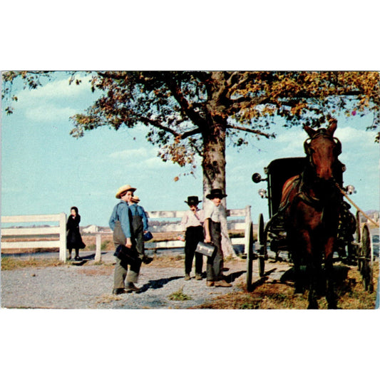 Amish Father Waiting for School Children Pennsylvania Dutch Country Postcard PD5