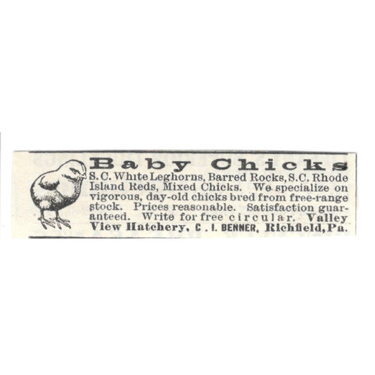 Valley View Hatchery Baby Chicks C.I. Benner Richfield PA 1924 Ad AG3-S6
